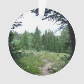 Grand Teton Trail Ornament (Vorderseite)