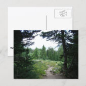 Grand Teton Trail Postkarte (Vorne/Hinten)