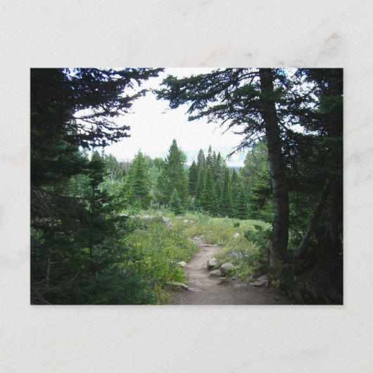 Grand Teton Trail Postkarte (Vorderseite)