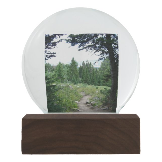 Grand Teton Trail Schneekugel (Vorderseite)