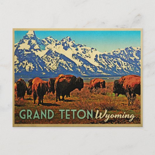 Grand Teton Wyoming Buffalo Postkarte (Vorderseite)