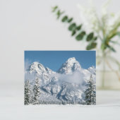 Grand Tetons im Winter Postkarte (Stehend Vorderseite)