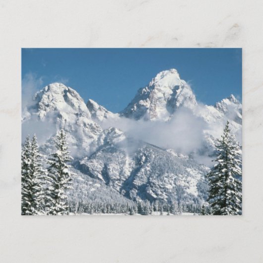 Grand Tetons im Winter Postkarte (Vorderseite)