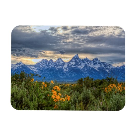 Grand Tetons Magnet (Horizontal)