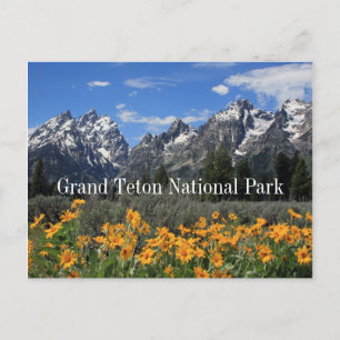 Grand Tetons mit Frühlingsschnee und Blume Postkarte