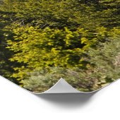 Grand Tetons Mountain Landschaftlich View Poster (Ecke)