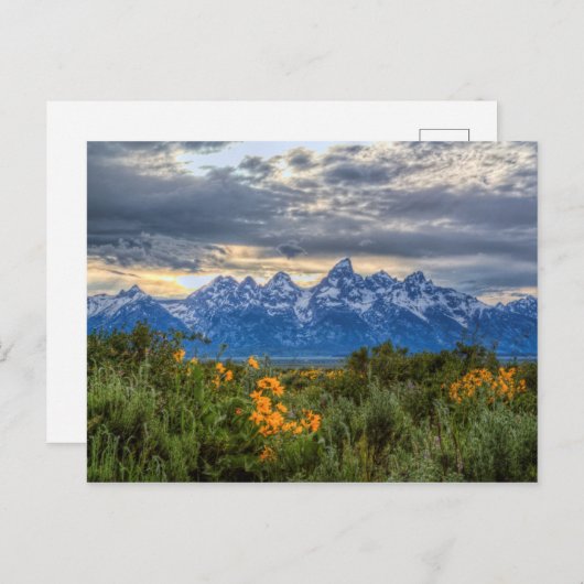 Grand Tetons Postkarte (Vorne/Hinten)
