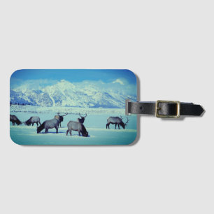 Grand Tetons und Elk im Winter-Gepäcktag Gepäckanhänger