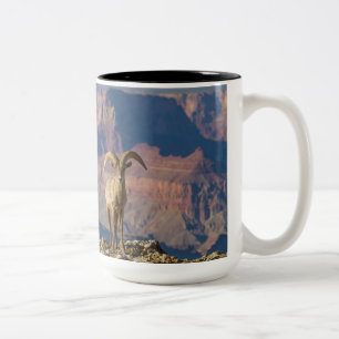 Grand View-Tasse Zweifarbige Tasse