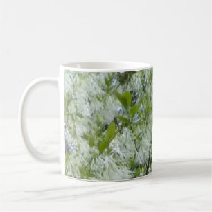 Grandaddy Graybeard-Baum-Tasse Kaffeetasse