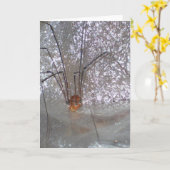 Grandaddy Longlegs Karte (Gelbe Blume)