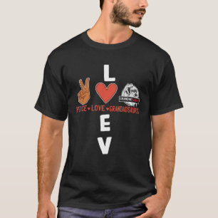 Grandadsaurus Dinosaurier Rex Niedlich Grandad Gra T-Shirt