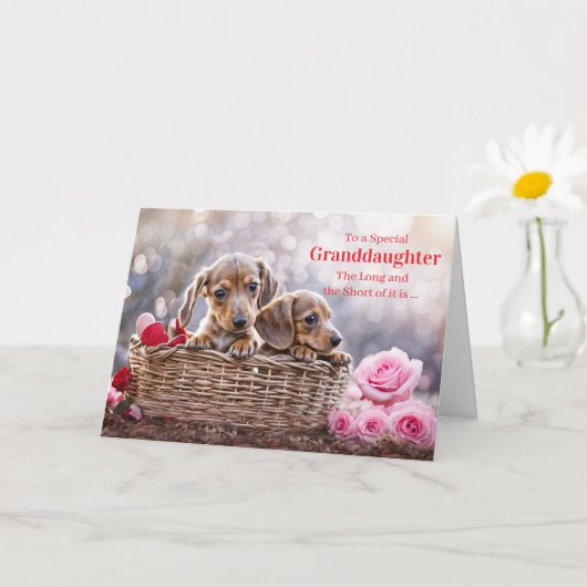 Granddaughter Happy Valentines Day Cute Puppy Dogs Karte (Kleine Pflanze)