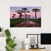Grandididier Baobab Forest Poster (Heimbüro)
