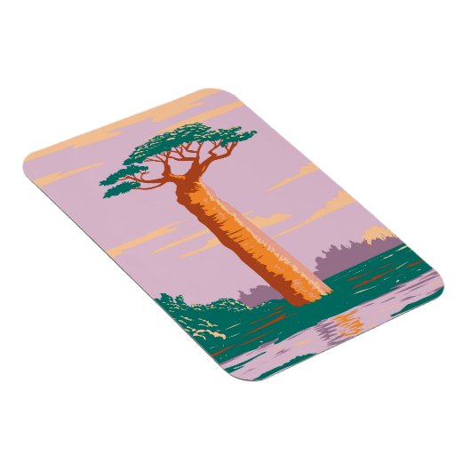 Grandidiers Baobab Magnet (Rechte Seite)
