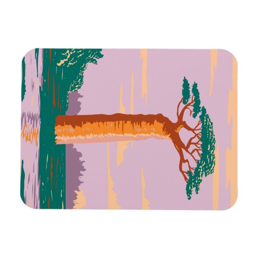 Grandidiers Baobab Magnet (Horizontal)