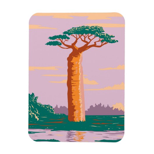 Grandidiers Baobab Magnet (Vertikal)