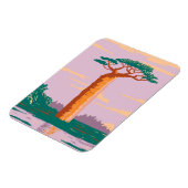 Grandidiers Baobab Magnet (Linke Seite)