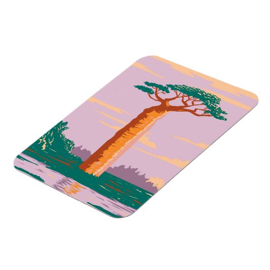 Grandidiers Baobab Magnet (Linke Seite)