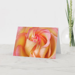 GrandifloraRose Karte