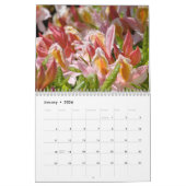 GRANDMA LIEBEN Azaleen & Rhodies Kalendergeschenke Kalender (Jan 2026)