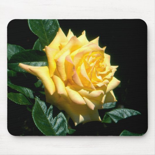 Grandpa Dickson Mousepad (Vorne)