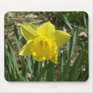 Grandparent's Bright Yellow Daffodil Mouse Pad Mousepad