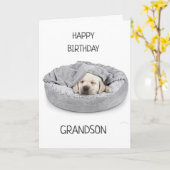 GRANDSON AM GEBURTSTAG! KARTE (Gelbe Blume)