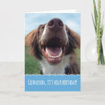 Grandson Birthday, glücklicher Hund mit großem Läc Karte<br><div class="desc">Ein Geburtstag zu feiern ist etwas,  worüber man lächeln kann,  und dieser glückliche Hund wird Ihrem Enkel ein großes Lächeln ins Gesicht bringen. Dieses bezaubernde,  sorgenfreie Jungtier ist ein brauner und weißer Spaniel,  der vor dem Unterschlupf gerettet wurde. Sie genießt jetzt grünes Gras,  blauen Himmel und viele glückliche Geburtstage.</div>