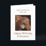 Grandson Birthday, Orang Utan Karte<br><div class="desc">Give your grandson a cheeky monkey of a birthday card. Birthday card for your very own top banana! Auf Babyorangutan looking.</div>