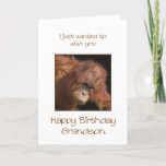 Grandson Birthday, Orang Utan Karte<br><div class="desc">Give your grandson a cheeky monkey of a birthday card. Birthday card for your very own top banana! Auf Babyorangutan looking.</div>