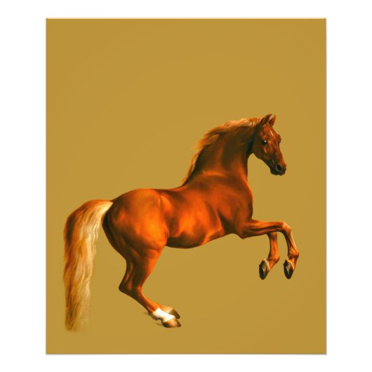 Grandson der Godolphin Arabian Fotodruck (Vorne)