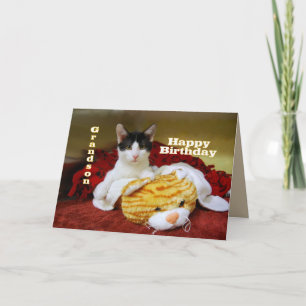 Grandson Happy Birthday Kitten mit Toy Tiger Karte