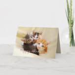 Grandson Happy Birthday Trio von Kittens Karte<br><div class="desc">Diese Karte mit drei bezaubernden Kätzchen eignet sich perfekt zum Geburtstag eines Enkels.  Weitere Fuzzyball Karten für altersspezifische Geburtstage und Geburtstagskarten für andere Familienmitglieder. "Liebe Grandson,  ich hoffe,  du hast einen reinen,  halbvelosen Geburtstag! Hugs und Küsse!"</div>