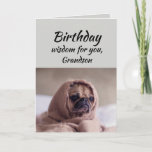 Grandson Spaß Birthday Wisdom Niedlicher Mops Dog Karte<br><div class="desc">Geburtstagsweisheit für Ihren Enkel vom niedlichen Mops in einer Rug.   Fun-Tier-Geburtstagskarten</div>