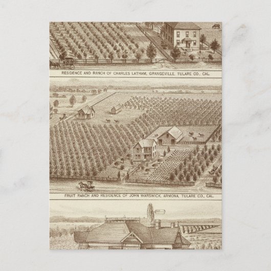 Grangeville, Armona Postkarte (Vorderseite)