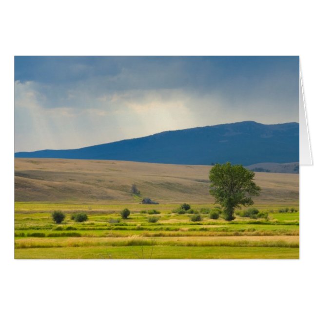 Granit Landkreis Montana (Vorderseite (Horizontal))