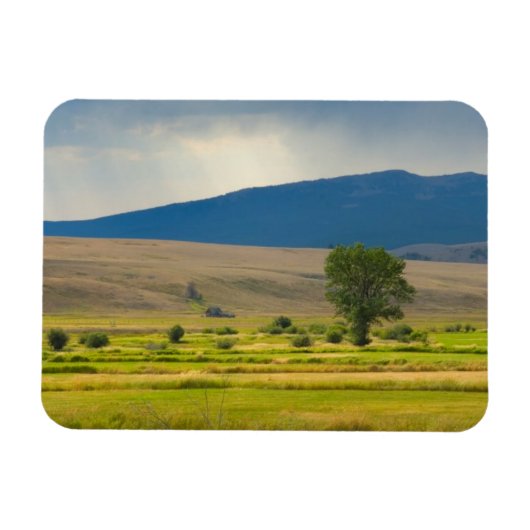 Granit Landkreis Montana Magnet (Horizontal)