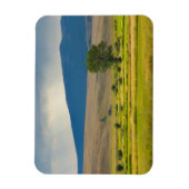 Granit Landkreis Montana Magnet (Vertikal)