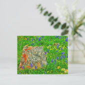 Granit und Wildblumen auf der Willow City Loop Postkarte (Stehend Vorderseite)