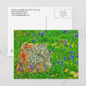 Granit und Wildblumen auf der Willow City Loop Postkarte (Vorne/Hinten)