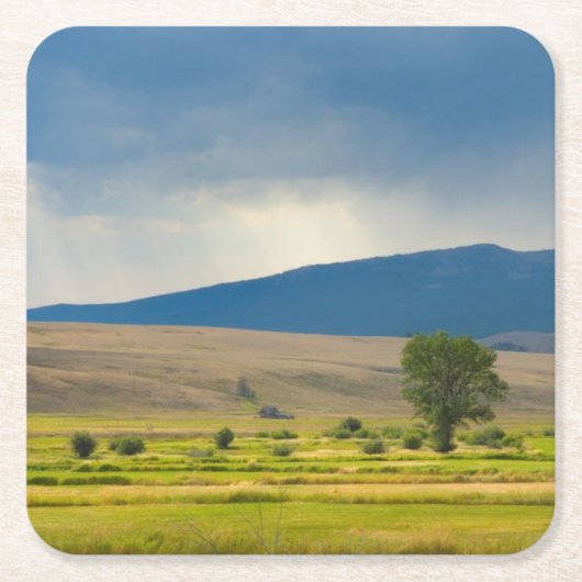Granite County Montana Rechteckiger Pappuntersetzer (Vorderseite)