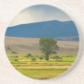 Granite County Montana Sandstein Untersetzer (Vorne)