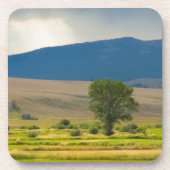 Granite County Montana Untersetzer (Vorderseite)