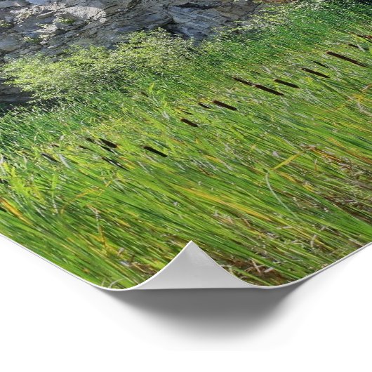 Granite Rock Cliff Cattails Pond Mirror Abstrakt Poster (Ecke)