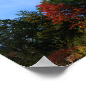 Granite Rock Cliff Fall Foliage Nature Poster (Ecke)