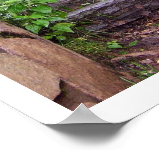 Granite Steps Poster (Ecke)