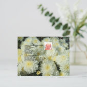 Granny's Chocolate Chip Cookies Rezept Postkarte (Stehend Vorderseite)