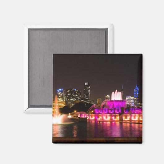 Grant Park Chicago Magnet (Vorderseite/Rückseite)