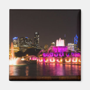 Grant Park Chicago Magnet
